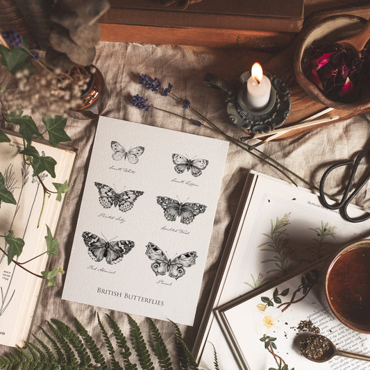 British Butterflies Fine Art Print