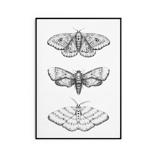 Nocturna Fine Art Print