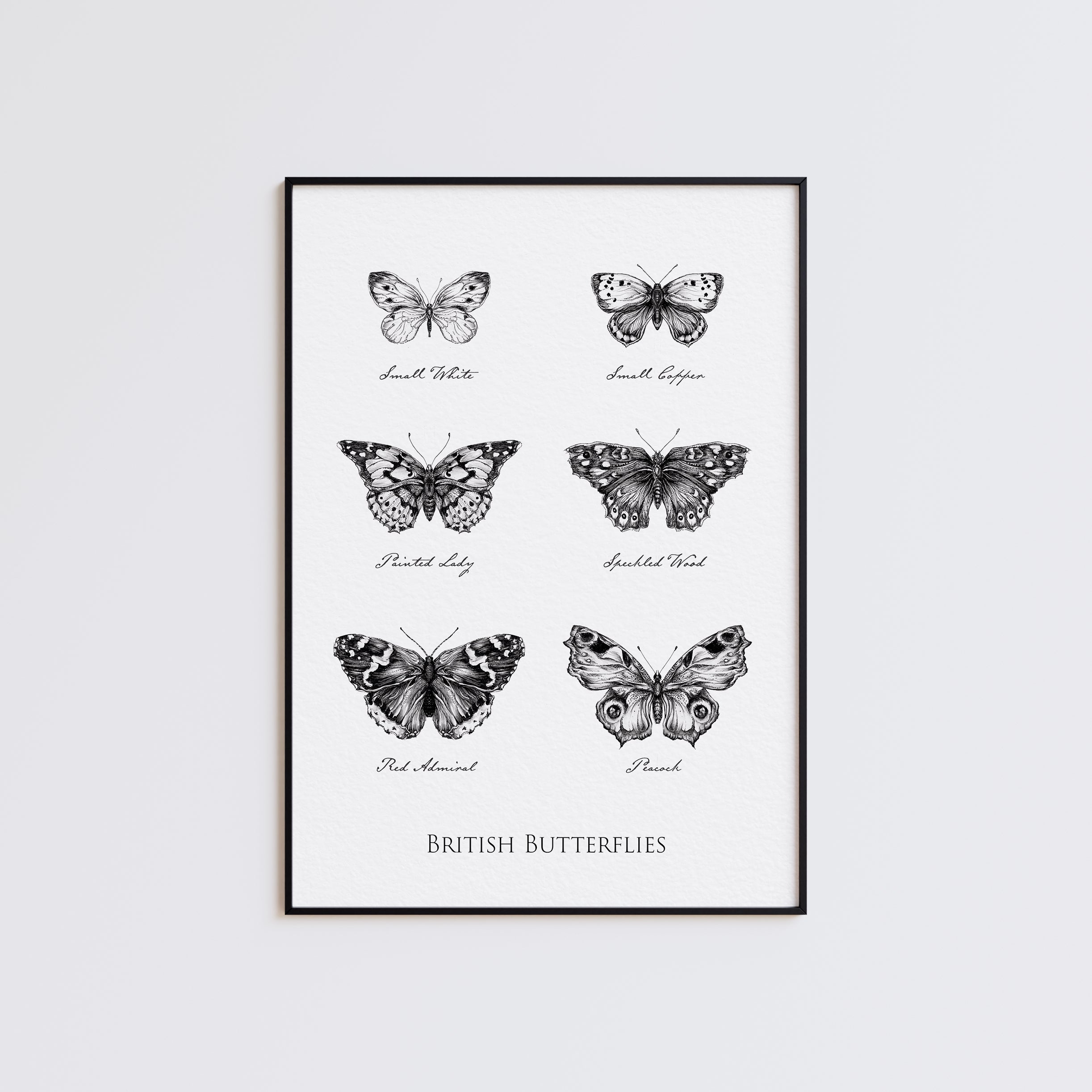 British Butterflies Fine Art Print