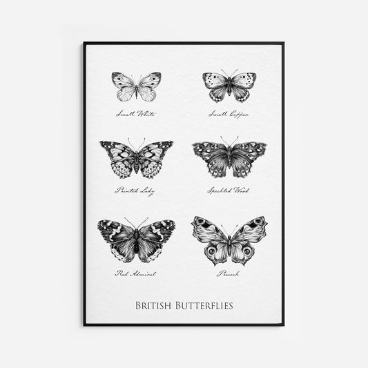 British Butterflies Fine Art Print