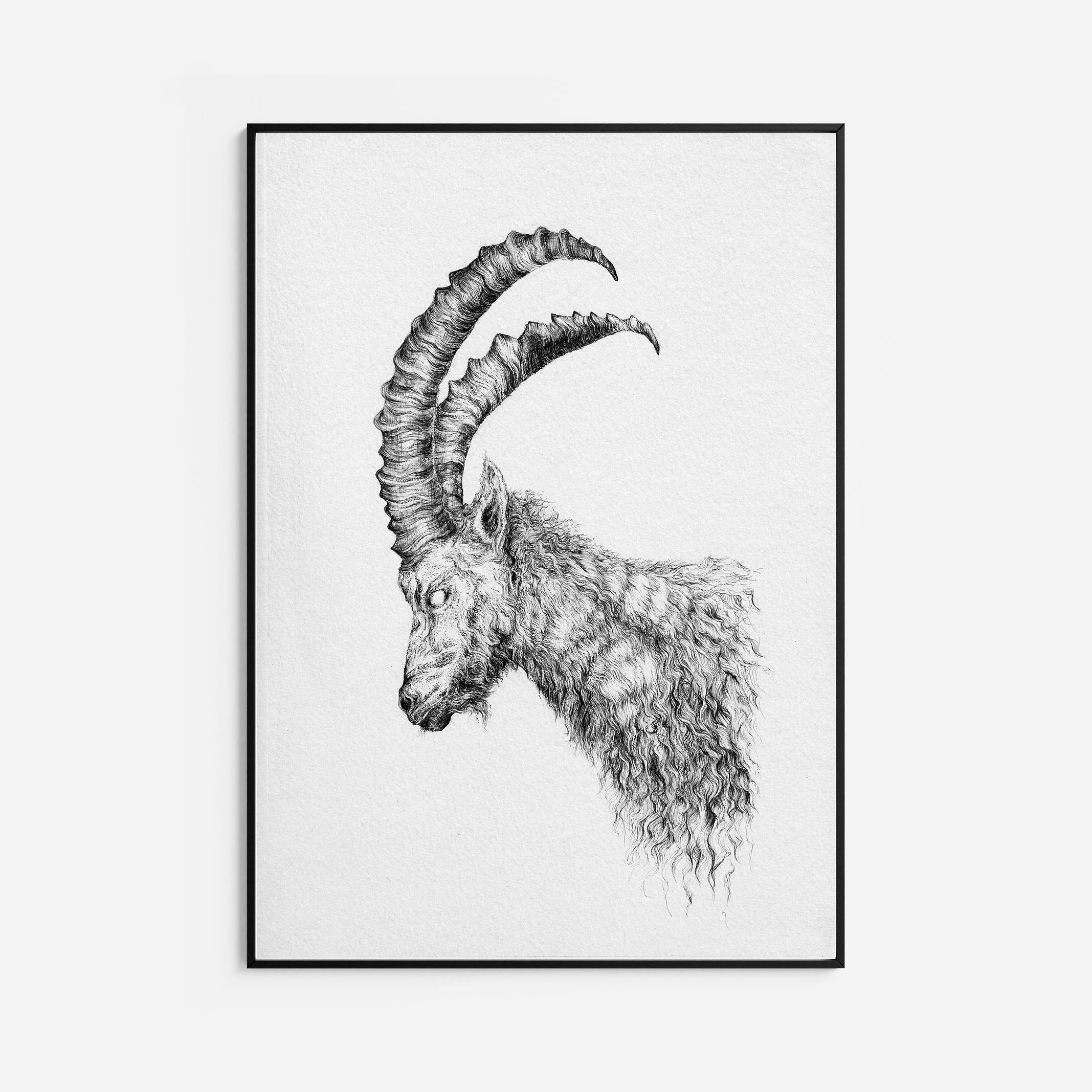 The Watcher Fine Art Print