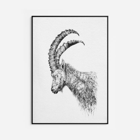 The Watcher Fine Art Print