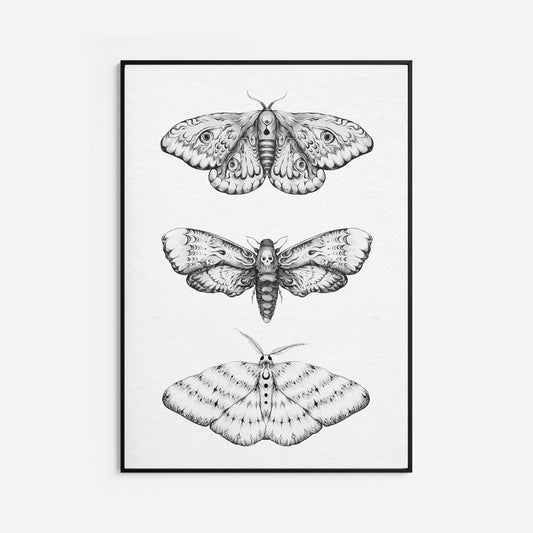 Nocturna Fine Art Print