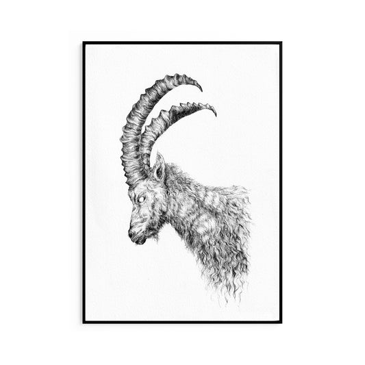 The Watcher Fine Art Print