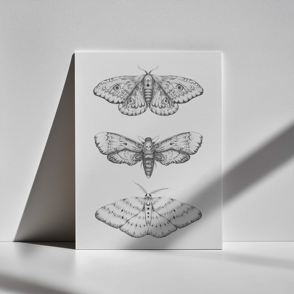 Nocturna Fine Art Print