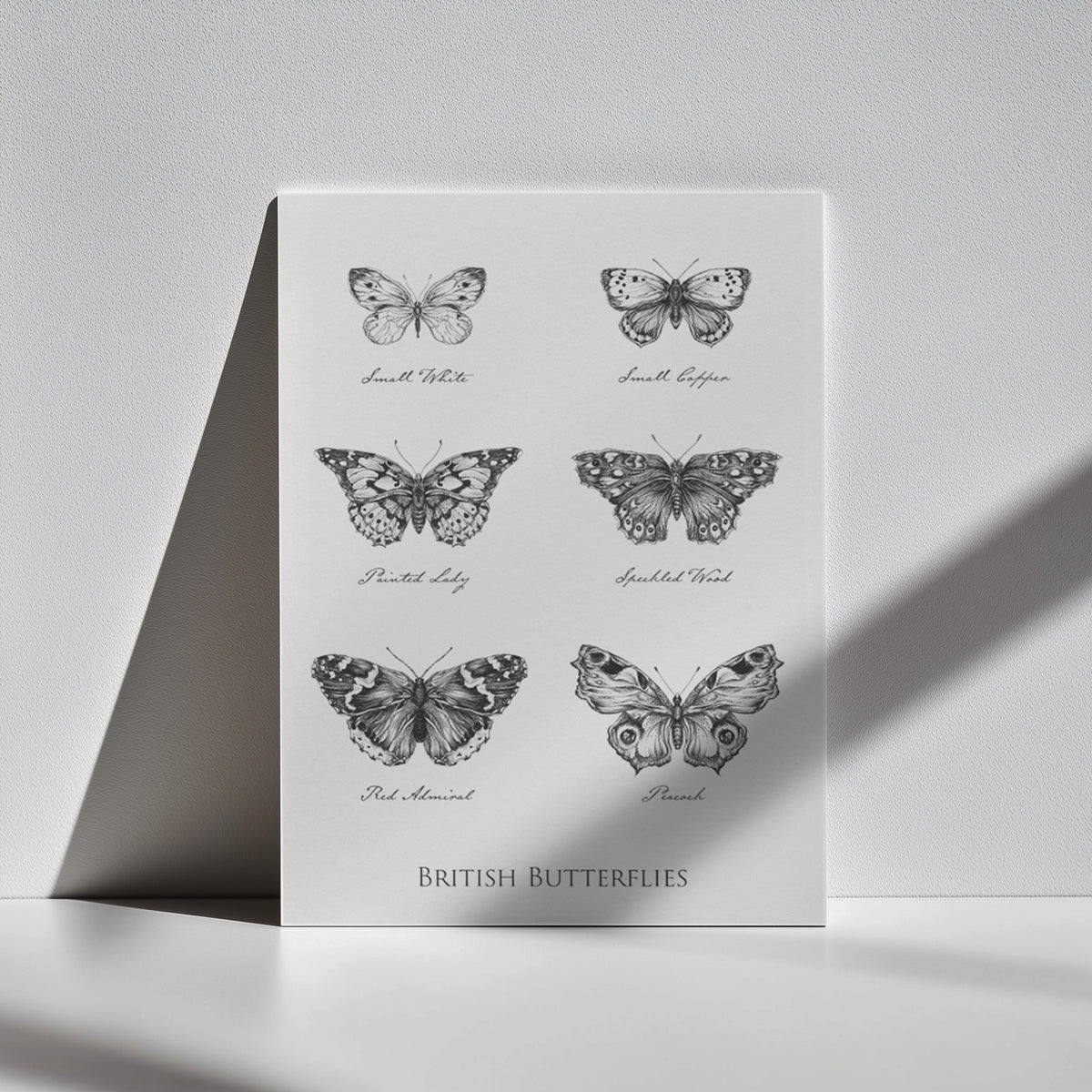 British Butterflies Fine Art Print