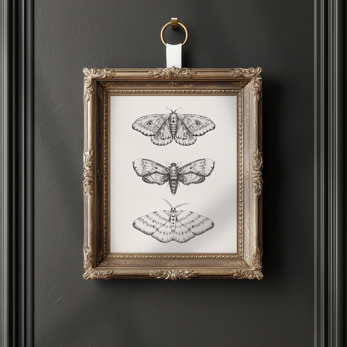 Nocturna Fine Art Print