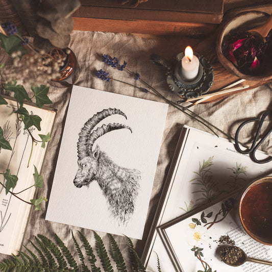 The Watcher Fine Art Print